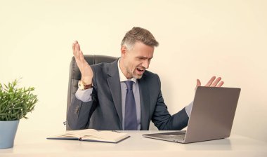 mature stressed boss shouting in business office.