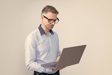 mature employer in eyeglasses working on computer on grey background.