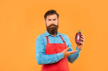 Serious man in red apron showing eggplant yellow background, grocer. clipart