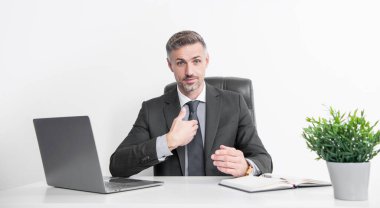 mature businessman sitting and presenting himself in business office.