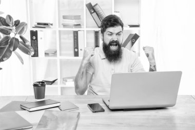 Excited businessman celebrating victory looking in laptop at office desk, business success.