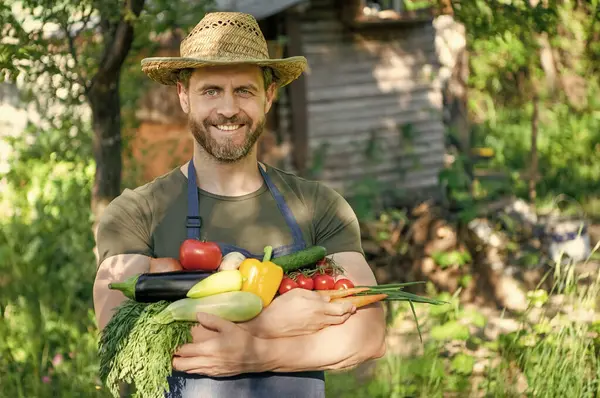 Farm Worker Straw Hat Hold Fresh Ripe Vegetables — Foto de Stock