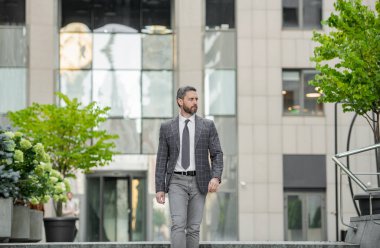 Profesyonel patron resmi kıyafetler içinde yürüyor. Yetişkin patron dışarıda. Ceketli patron. Kafkasyalı patron dışarıda yürüyor..