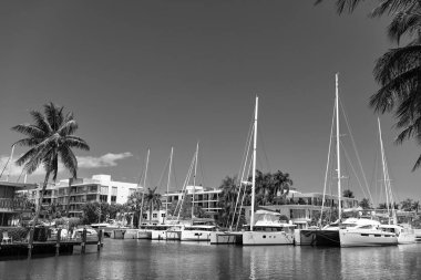 Miami, Florida ABD - 25 Mart 2023: Denizcilik yatlı Miami Yaz Limanı.