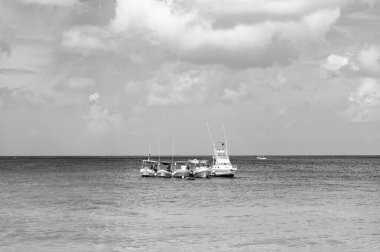 Cozumel, Meksika - 24 Aralık 2015: Turistik yatlar yaz limanına yanaştı.