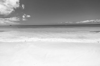 Yaz tatilinde deniz manzaralı doğa. Turkuaz suyla deniz manzaralı yaz doğası. Deniz manzaralı yaz manzarası. Deniz manzaralı Ufuk çizgili yaz doğası.