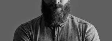 İrlandalı bir adamın portresi. Kızıl sakallı bir tarla manzarası. Sakallı ve bıyıklı, tıraşsız bir yüz. Sakallı ve bıyıklı erkek stüdyosu Griler üzerinde izole edilmiş..