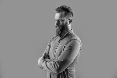 unshaven man with long beard isolated on grey background. studio shot of unshaven man. beard care. handsome unshaven man has beard. clipart