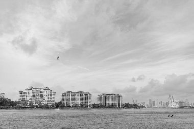 Şehir merkezinde ufuk çizgisi olan deniz kenarı manzarası. Şehir merkezinin fotoğrafı. Şehir merkezinde binalar var. Şehir merkezi mimarisi.
