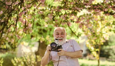 Keyfim yerinde. Çiçek açan fotoğrafçılıkta sakura. Pembe çiçekli bir dal. Yaşlı sakallı adam fotoğraf çekiyor. Profesyonel fotoğrafçı tasarımcısı. Erkek turist kamerayla kiraz çiçeklerinin fotoğrafını çeker..