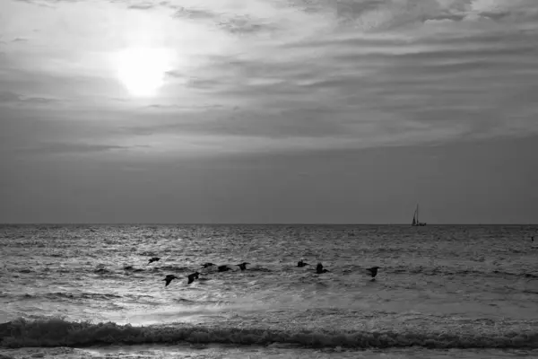 Изумительная Морская Природа Восходе Солнца Фото Природы Мыса Восходе Солнца — стоковое фото