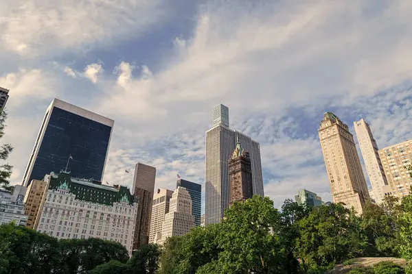 Central Park 'ta yaz ve New York' ta bina. ABD, New York, Central Park 'ın etrafındaki gökdelen. Gökdelen manzaralı şehir doğası. New York Central Park.