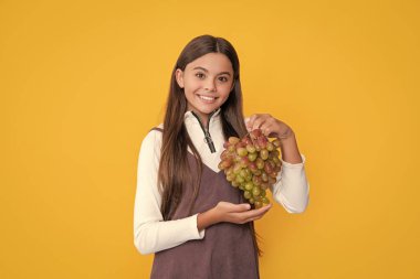 cheerful child hold ripe grapes fruit on yellow background.