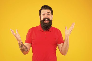 hair and beard care. happy male face. happiness. mature hipster with beard. brutal caucasian guy with moustache. confident and handsome bearded man on yellow background.