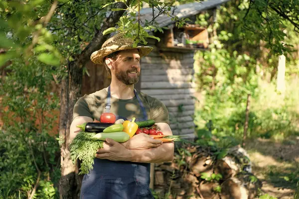 Man Straw Hat Hold Fresh Ripe Vegetables Veggies — Foto de Stock