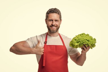 man in apron with lettuce vegetable isolated on white. thumb up.