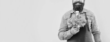 Mutlu adam tarla manzaralı taze marul ve meyve suyu şişesi sarı arka plan fotokopi alanı, meyve sıkacağı.