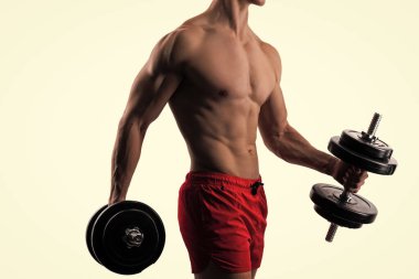 Kırpılmış insan görüşü beyaza izole edilmiş pazılar ve trisepsler için spor egzersizi yapıyor. Adamın güçlü pazıları ve trisepsleri var. Stüdyoda spor egzersizi. Dambılı bir sporcu. pazılar ve trisepsler spor egzersizleri.