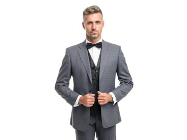 handsome man in bow tie blue suit. businessman isolated on white. gentleman in formal wear.