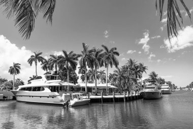 Deniz kenarındaki yaz mevsiminde yatları olan liman manzarası. Limanda tekneleri ve palmiyeleri olan deniz kıyısında bir tatil yeri. Sahil limanı yaz için mükemmel bir yer. Sahil limanı varış noktası.