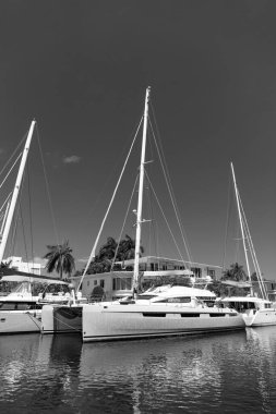 Miami, Florida ABD - 25 Mart 2023: Miami 'de yelkenli teknesi katamaranı.