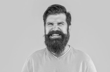 Arka planda kızgın sakallı adamın portresi. Sakallı adamın portresi. Sarıda izole edilmiş sakallı adamın portresi. Stüdyoda sakallı adamın portresi.