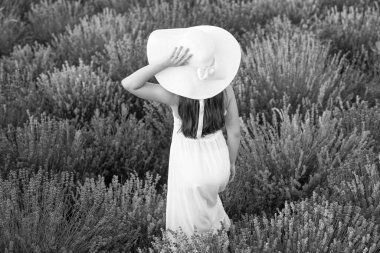 Lavanta çiçeklerinde poz veren bir kızın arka görüntüsü. Çiçeklerle çevrili lavanta tarlasında güzel bir kız. Bahçedeki lavanta çiçeklerindeki kız. Beyaz elbiseli genç kız lavanta çiçekleri arasında yürüyor..