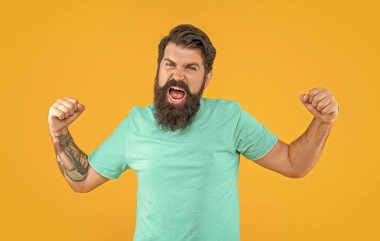 Sarıya sakallı saldırgan bir adamın portresi. Stüdyoda sakallı vahşi bir adamın portresi. Arka planda sakallı vahşi bir adamın portresi. Sakallı vahşi bir adamın portresi..