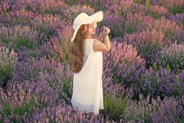 Beyaz elbiseli güzel kız lavanta çiçeklerinin arasında yürüyor. Güzel kız lavanta çiçeklerinde poz veriyor. Çiçeklerle çevrili lavanta tarlasında güzel bir kız. Bahçedeki lavanta çiçeklerindeki genç kız..
