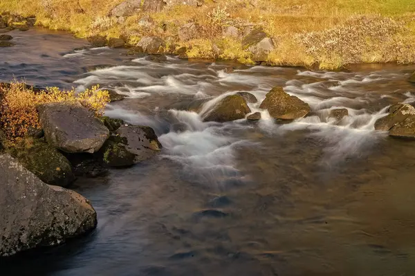 Şelale Nehri Çağlayarak Akıyor Nehir Akıntısı Nehrin Doğal Akışı Vahşi Stok Resim