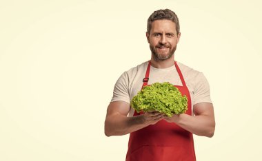 Önlüklü, salatalı, beyaz sebzeli bir adam. Boşluğu kopyala.