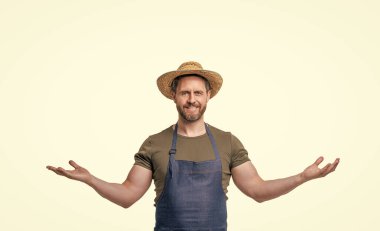 happy man in hat and apron gesturing isolated on white background with copy space. clipart
