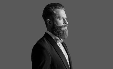 Sakallı adamın portresi. Tıraşsız suratlı İrlandalı adam. Uzun kızıl sakal stüdyosu olan yakışıklı adam gri alanda izole edilmiş..