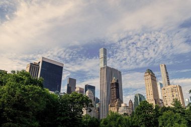 Gökdelenli doğa manzarası. New York 'un Central Park' ı. Manhattan 'ın merkezindeki Central Park şehri. ABD, New York Central Park çevresinde gökdelen.