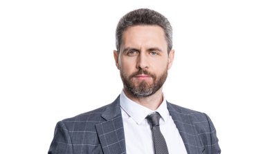 Başarılı liderlik işi başarıya götürür. CEO profesyonel portresi. Formalite içindeki hırslı iş adamı. Başarılı bir iş adamı beyazdan soyutlanmış. Lider 'in iş başarısı.