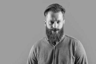 Sakal bakımı. Tıraşsız yakışıklı adamın sakalı var, kopyalama alanı. Gri arka planda uzun sakallı traşsız bir adam. Traşsız adamın stüdyo çekimi..