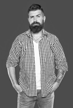 handsome bearded man wear checkered shirt on grey background. clipart