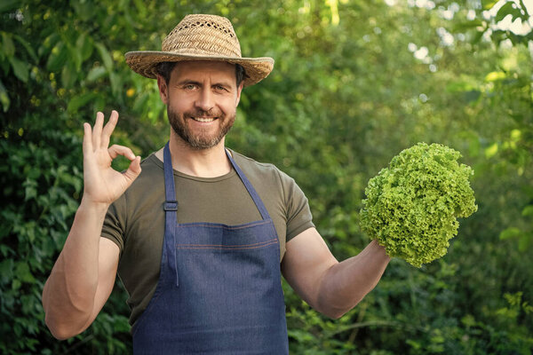 зеленщик в соломенной шляпе с листьями салата. ok.