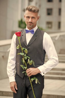 Aşk günü konsepti. Aşk gülü olan beyaz smokinli adam. Aşk günü için çiçek hediyesi..