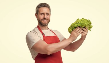 Önlüklü neşeli bir adam, marul sebzeli, beyaz tenli..