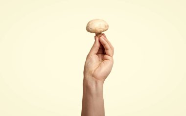 ripe mushroom vegetable in hand isolated on white background.