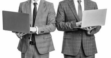 cropped view of two businessmen freelance using laptop. businessmen freelance isolated on white background. businessmen freelance in studio. photo of businessmen freelance with laptop.