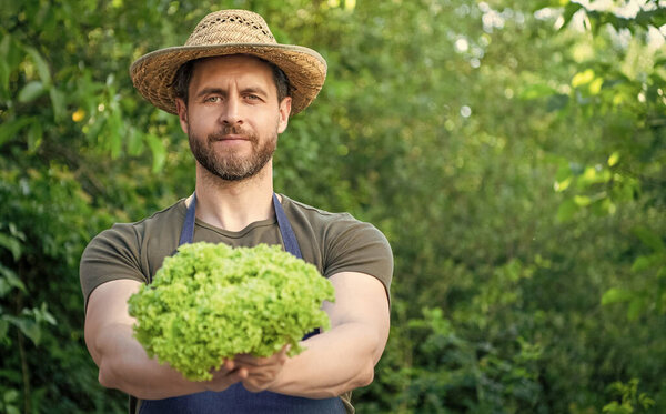 man greengrocer in straw hat with lettuce leaves. copy space.