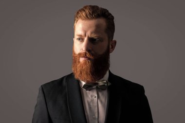 Smokinli ve papyonlu sakallı adam gri arka planda izole edilmiş. Smokin giysisiyle çekilen bir erkek stüdyosu. Smokin giyen adam. Smokin resmi kıyafet..