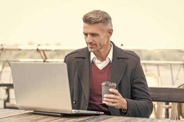 Ciddi bir yönetmen bilgisayarda çalışıyor açık kafede kahve içiyor..