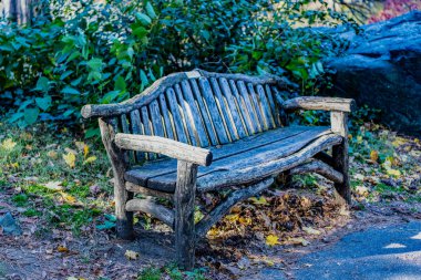 Sonbaharda boş park yeri ya da sonbahar doğa sezonu, açık havada kimse olmadan..
