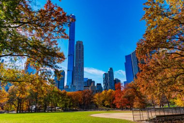 - New York. New York. Central Park 'ta. Sonbahar manzaralı Central Park 'ta sonbahar şehri. Mevsimlik doğa gökdelen şehir manzaralı..