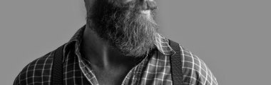 cropped view of bearded man with beard isolated on grey. bearded man with beard at studio. bearded man with beard on background. photo of bearded man with beard.