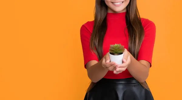 stock image happy kid with cactus in pot on yellow background.