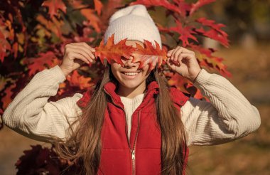 Sonbahar güzeli. Eylül 'de okullu bir kız. Sonbaharda mutlu bir genç kız. Sonbahar meşesi yapraklarında genç bir kız. Genç kızlar sonbahar kıyafetleri giyer. Sonbahar doğası eğlencesi. Sonbahar güzelliği kırsal çekiciliğinde yatıyor.